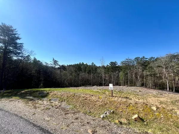 Mineral Bluff, GA 30559,Lot 11 Mountain Laurel Ridge