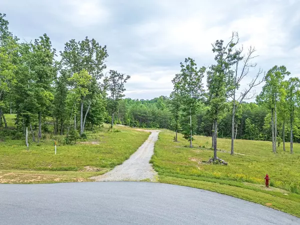 Blairsville, GA 30512,Lot 51 Hidden Harbor