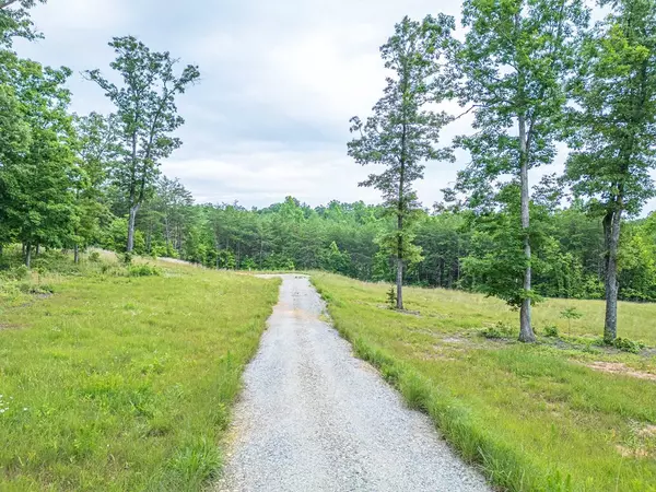 Blairsville, GA 30512,Lot 51 Hidden Harbor