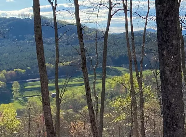 Lot 49 Winding Ridge, Blairsville, GA 30512