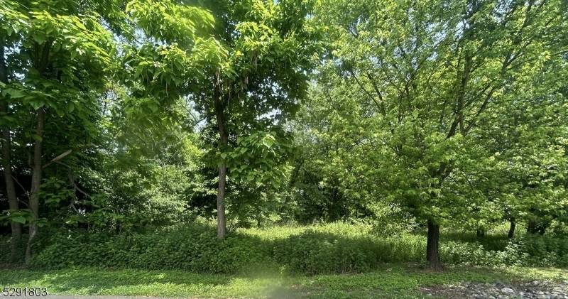 000 Wooden, South Plainfield Boro, NJ 07080