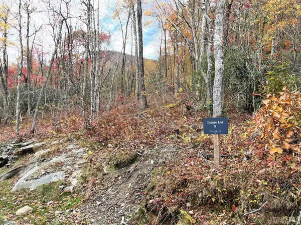 Lot 9 GlenCove Drive, Cashiers, NC 28717