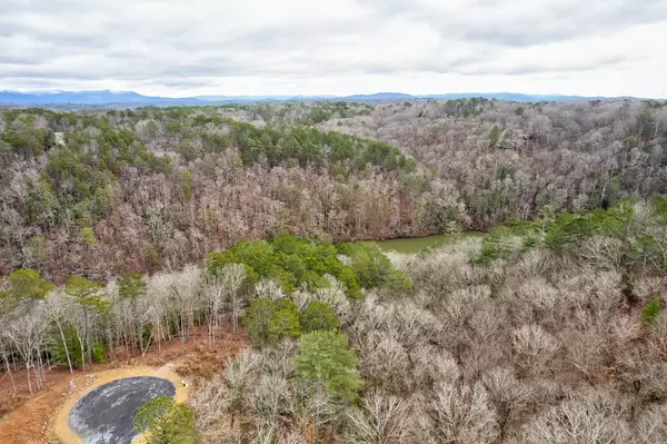 Ellijay, GA 30540,82 Jakes Landing Way