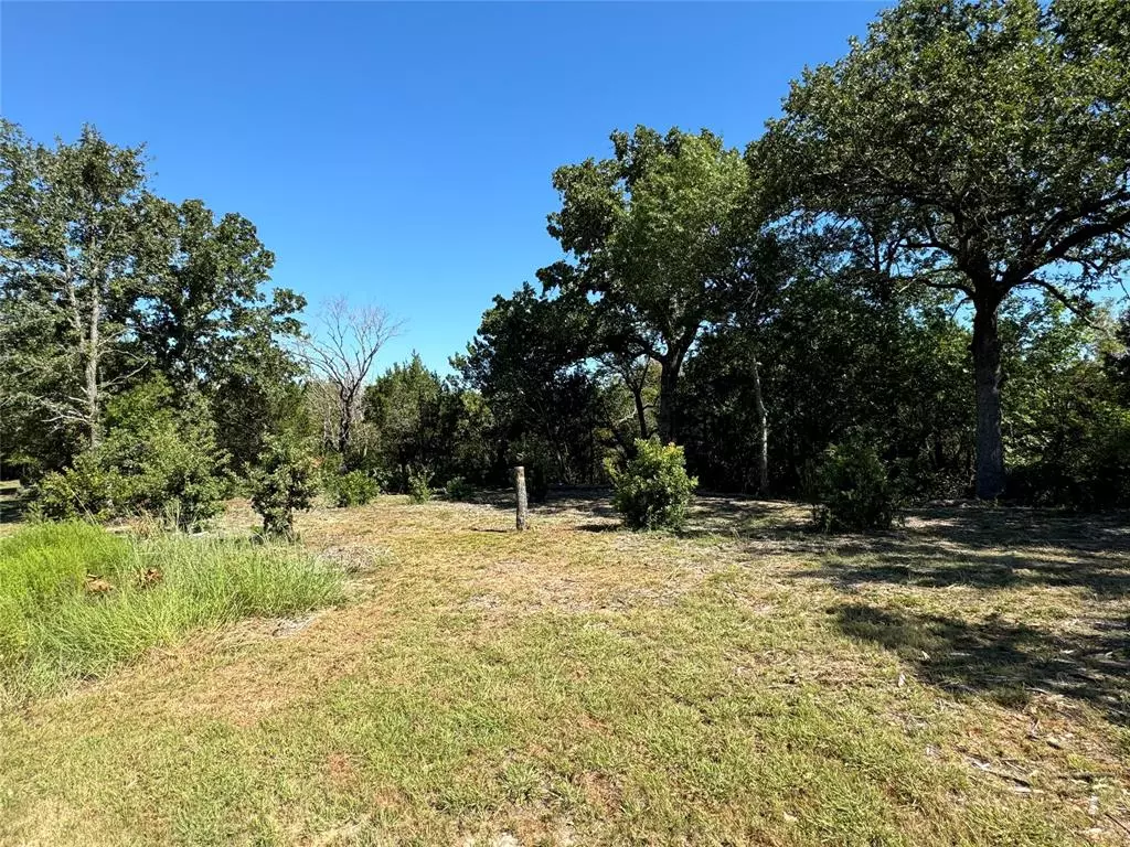 Nemo, TX 76070,1017 Cedar Hill Drive