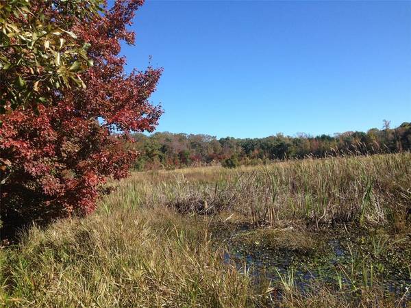 Ben Wheeler, TX 75754,TBD 133 AC +- VZ County Road 4701