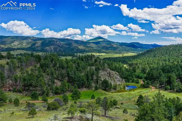 Florissant, CO 80816,2 Golden Eagle HTS