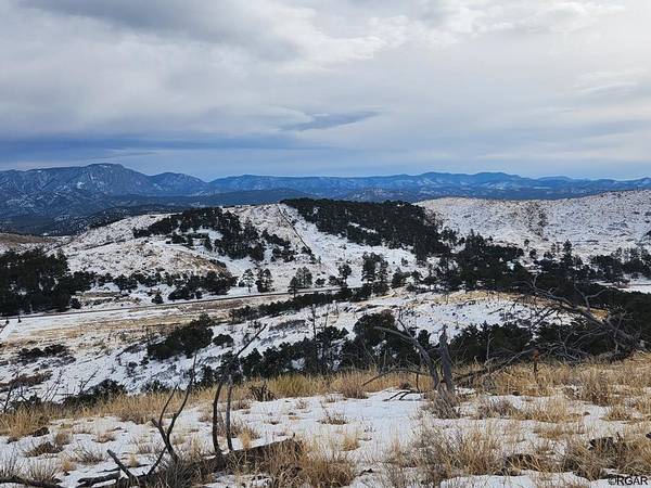 Cotopaxi, CO 81223,TR-84 25th Trail