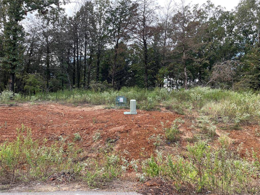 Lindale, TX 75771,Lot 20 TBD Cedarpark Place