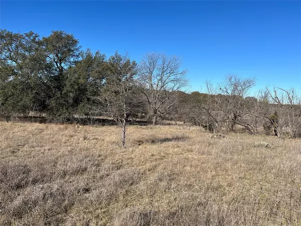 Comanche, TX 76442,Lot 7 Lake Point Road