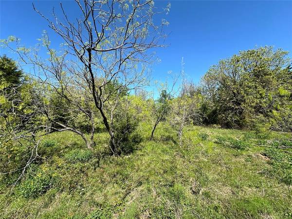 Corsicana, TX 75109,Lot 22 SECR 3048#P