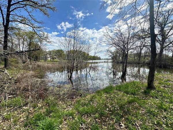 Corsicana, TX 75109,Lot 333 Spur 294