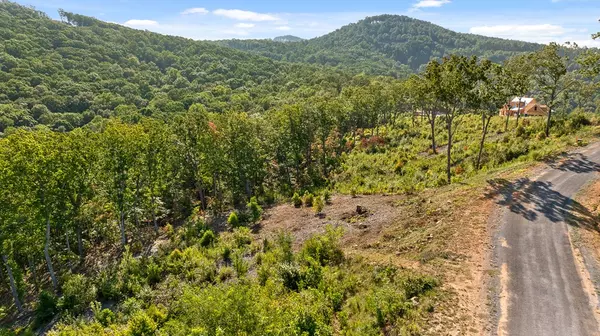 Talking Rock, GA 30175,Lot 169 Gray Bluff Trail