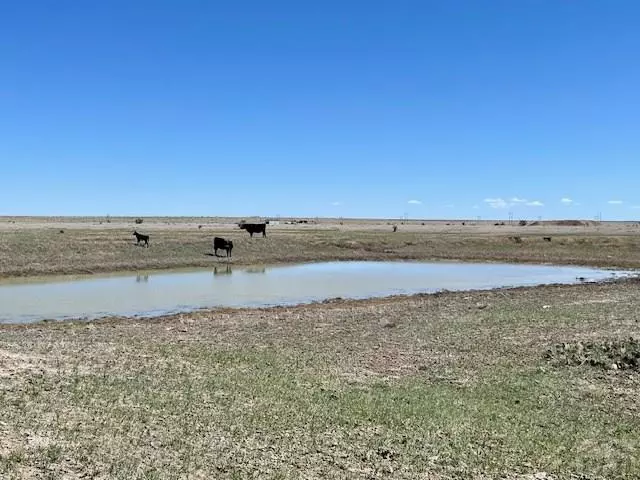 Rye, CO 81069,TBD Cedarwood Station