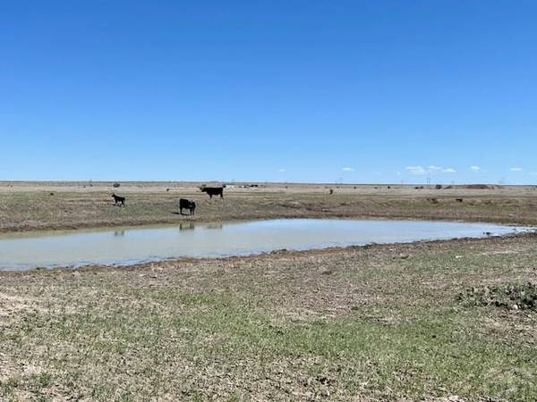 TBD Cedarwood Station, Rye, CO 81069