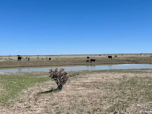 Rye, CO 81069,TBD Cedarwood Station