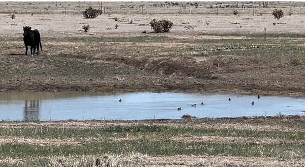 Rye, CO 81069,TBD Cedarwood Station