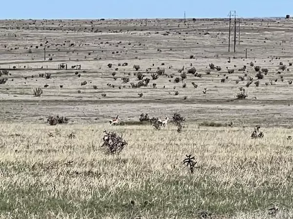 Rye, CO 81069,TBD Cedarwood Station