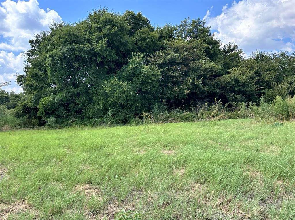 Comanche, TX 76442,55+/- ac TBD County Road 181