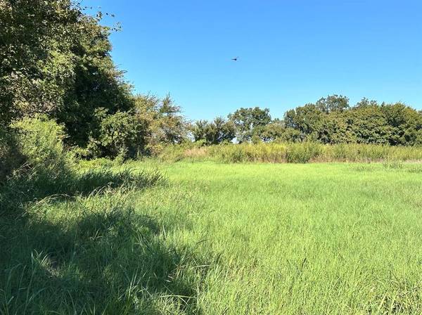 Comanche, TX 76442,55+/- ac TBD County Road 181