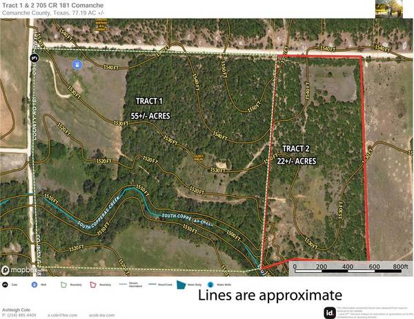 Comanche, TX 76442,55+/- ac TBD County Road 181