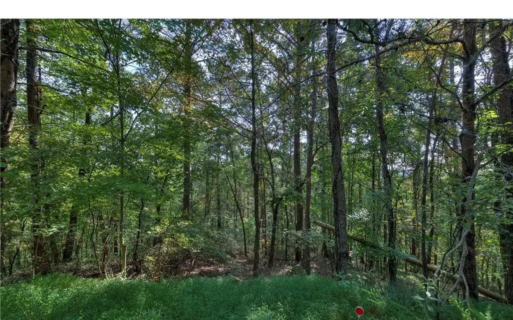 Ranger, GA 30734,1038 Astro Court