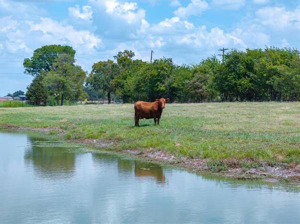 Canton, TX 75103,TBD Vz County Road 2120