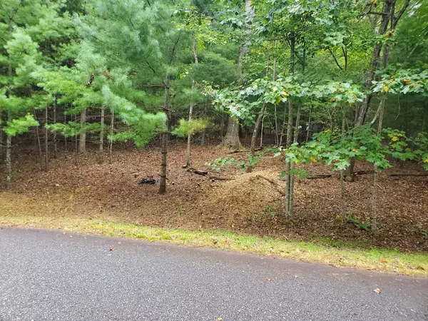 Blairsville, GA 30512,Lot 42 Arrowood Pointe