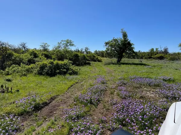 Harper, TX 78631,Lot 14 -- Sweet Wind Ln