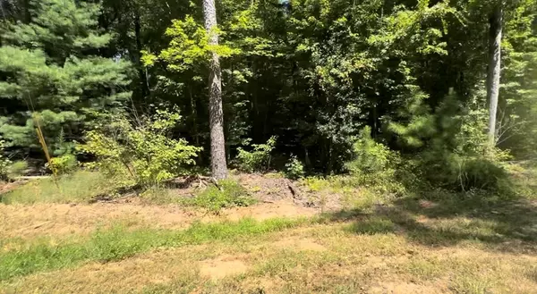 Ellijay, GA 30540,Lot 117 Jumper Drive