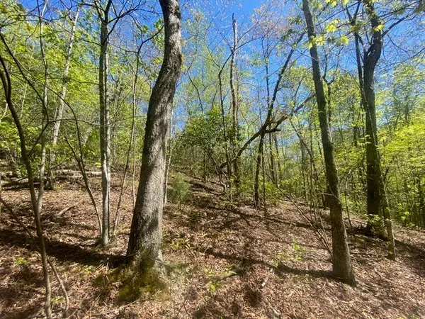 Blue Ridge, GA 30513,lot 10 Whispering Lane