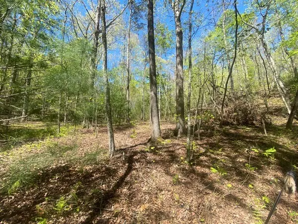 Blue Ridge, GA 30513,lot 10 Whispering Lane