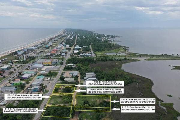 216+ Bay Shore Dr, St. George Island, FL 32328