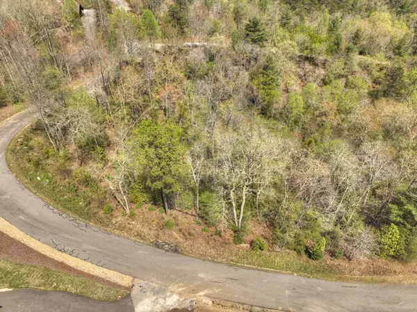 Morganton, GA 30560,Lot 14 Hawks View