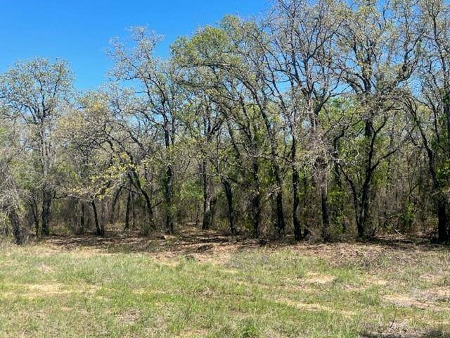 Poolville, TX 76487,TBD PR 3858