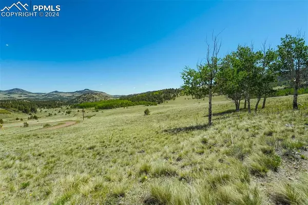 Guffey, CO 80820,1354 Greta Valley RD