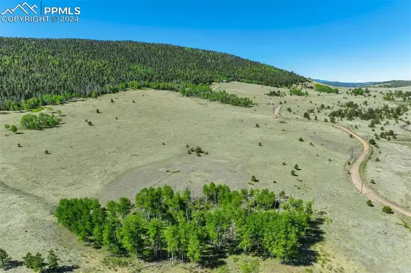 Guffey, CO 80820,1354 Greta Valley RD