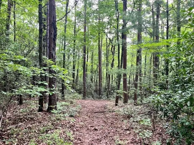 10 AC Ralston Creek Trail, Ellijay, GA 30536