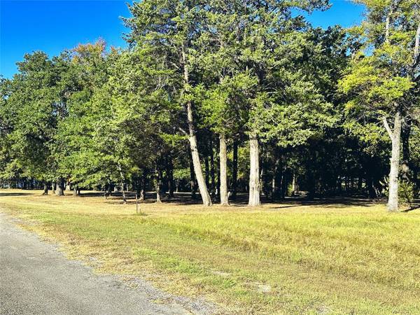 Kerens, TX 75144,Lot 65 Sombrilla Lane