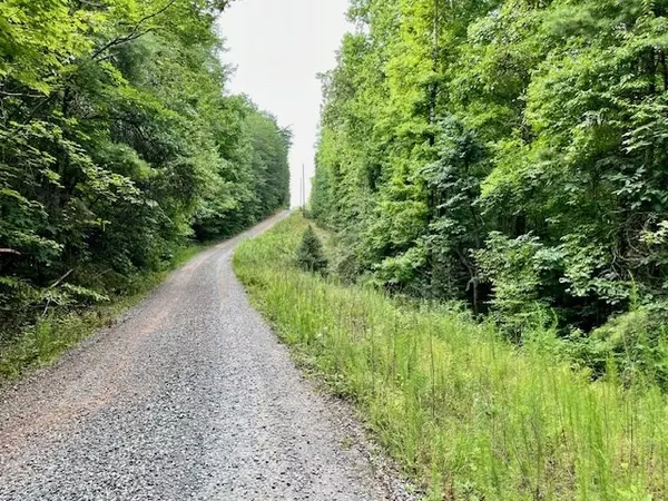 Ellijay, GA 30536,10 AC Ralston Creek Trail