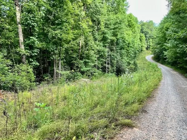 Ellijay, GA 30536,10 AC Ralston Creek Trail