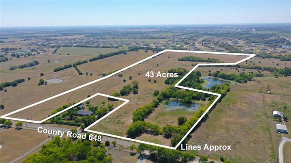 Farmersville, TX 75442,TBD 43 ACRES CR 648 Road