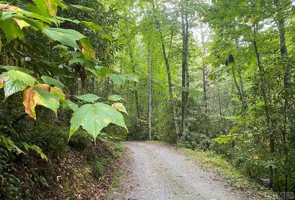 Lot F114 Tremble Ridge Road, Glenville, NC 28736