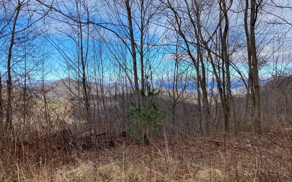 Bryson City, NC 28713,Lot G1 Moose Road