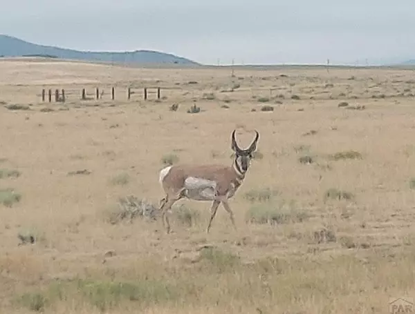 Walsenburg, CO 81089,TBD West Winds Rd