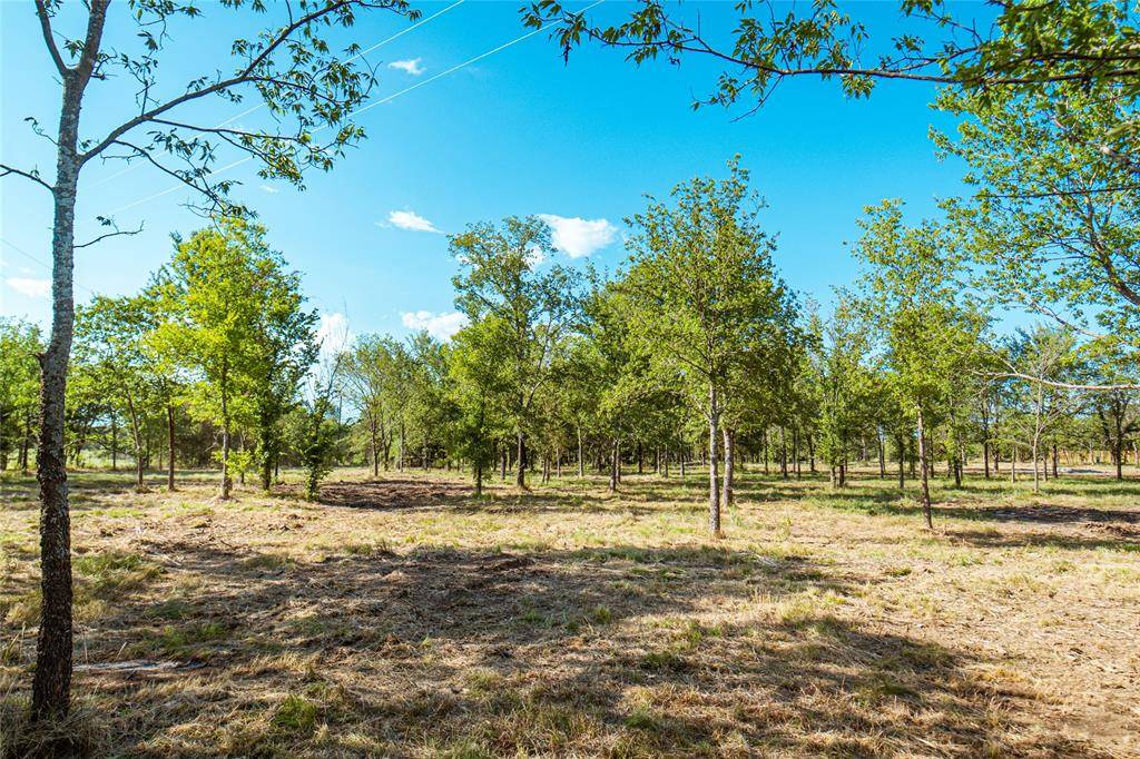 Gainesville, TX 76240,Lot 8 CR 297