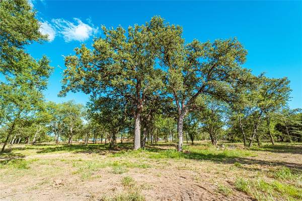 Gainesville, TX 76240,Lot 9 CR 297