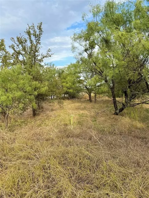 TBD S Beacon Lane, Brownwood, TX 76801