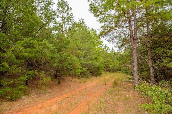 16092 C R 440, Lindale, TX 75771