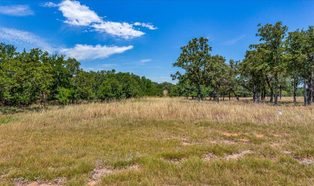 Lipan, TX 76462,271 Creek Meadow Court