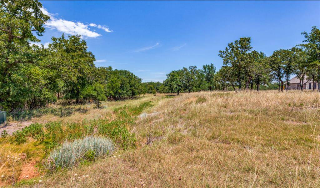 Lipan, TX 76462,271 Creek Meadow Court